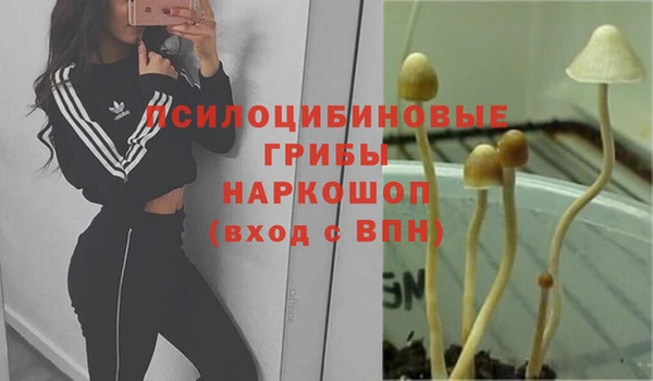 мдпв Вязники